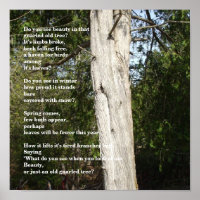 Trees for Arbor Day