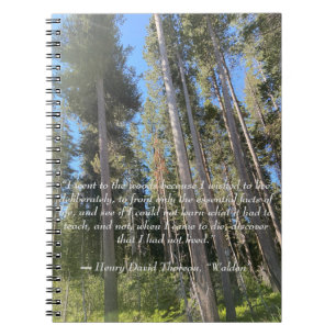 Trees Forest Woods Thoreau  Notebook