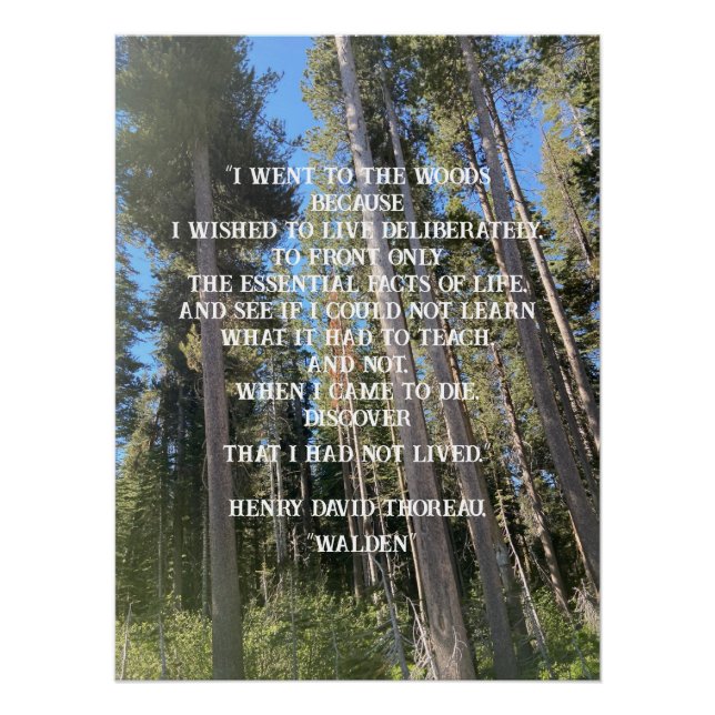 Trees Forest Woods Thoreau  Poster (Front)