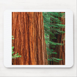 Trees Giant Sequoia Mariposa Grove Yosemite Mouse Mat
