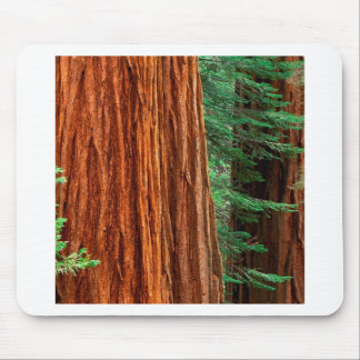 Trees Giant Sequoia Mariposa Grove Yosemite Mouse Mat