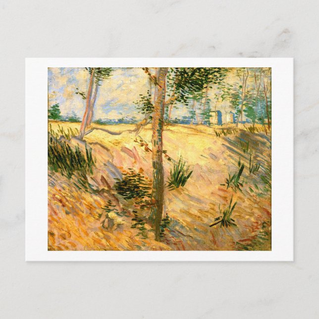 Trees in a Field on a Sunny Day, Van Gogh Fine Art Postcard (Front)