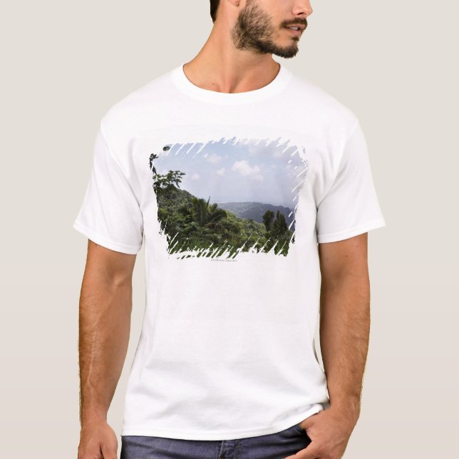 Trees in a rainforest, El Yunque Rainforest, T-Shirt (Front)