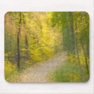 Trees in Autumn Colours and Leaf-Covered Pathway Mouse Mat