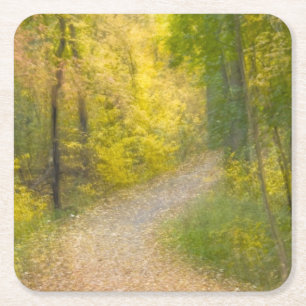 Trees in Autumn Colours and Leaf-Covered Pathway Square Paper Coaster