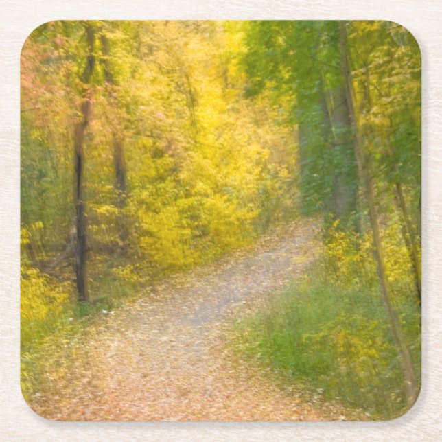 Trees in Autumn Colours and Leaf-Covered Pathway Square Paper Coaster (Front)
