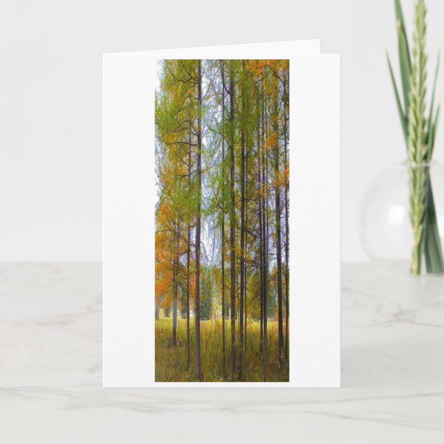 "Trees in Autumn" Digitally Transformed Tamaracks Card (Front)