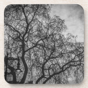 Trees in black and white hard plastic coasters