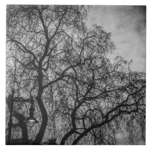 Trees in black and white view ceramic tile