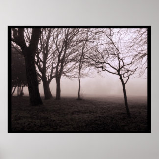 Trees in Fog Landscape Poster