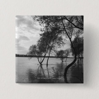 Trees in lake 15 cm square badge