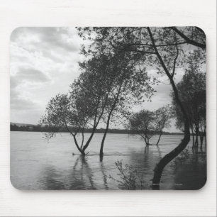 Trees in lake mouse mat