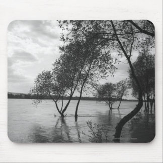 Trees in lake mouse mat