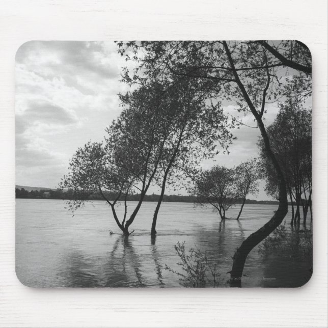 Trees in lake mouse mat (Front)