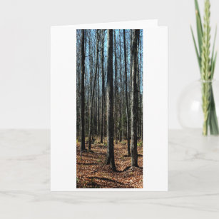Trees in Late Autumn: Digitally Transformed Forest Card