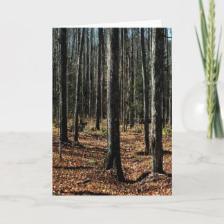 Trees in Late Autumn: Digitally Transformed Forest Card