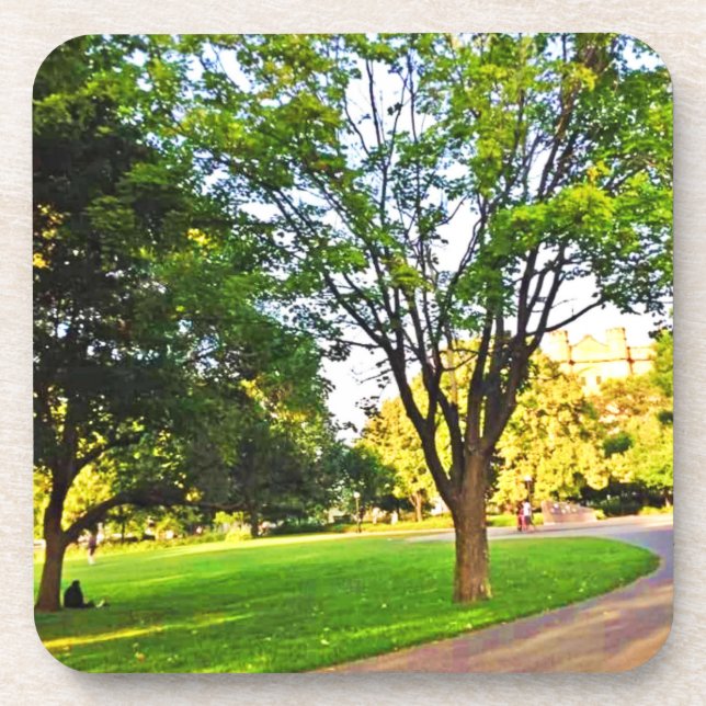 Trees In Ottawa Park. Buy Now Cutting Board Coaster (Front)