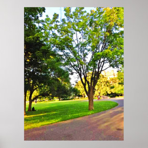 Trees In Ottawa Park. Buy Now Poster