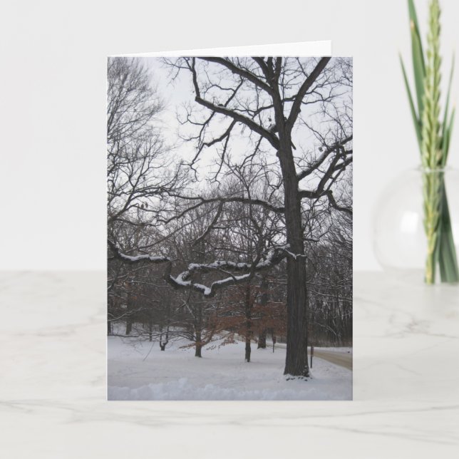 Trees in Snow I Holiday Card (Front)