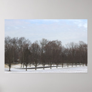 Trees in Snow Poster