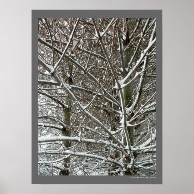 Trees in the Snow Winter Photo Poster (Front)