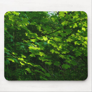 Trees in the Spring. Bute Park, Cardiff. Wales Mouse Mat