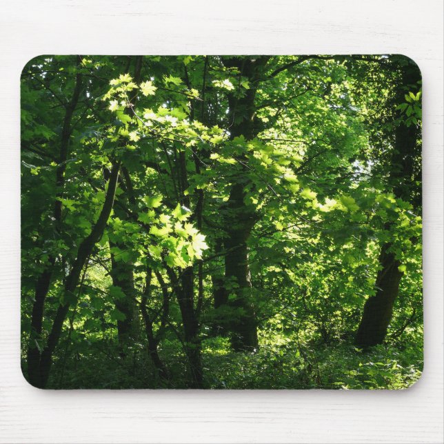 Trees in the Spring. Bute Park, Cardiff. Wales Mouse Mat (Front)