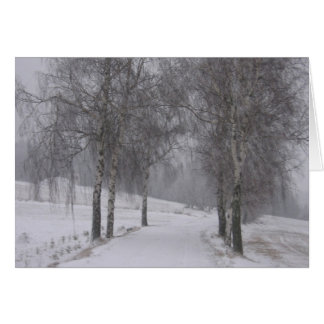 Trees in Winter