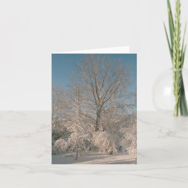 Trees laden with Snow Notecards (Front)