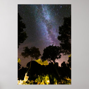 Trees landscape with milky way poster
