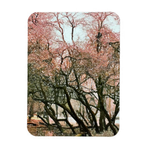 TREES MAGNET