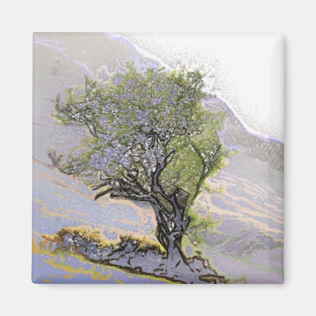 TREES MAGNET (Front)