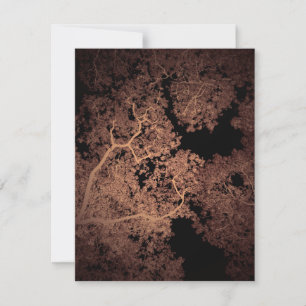 Trees Map 5 Card