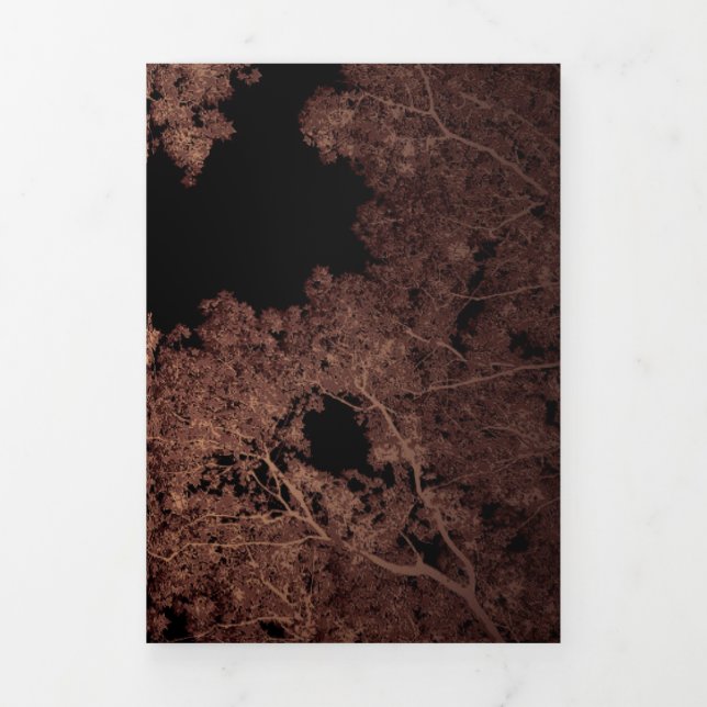 Trees Map 5 Tri-Fold Holiday Card (Cover)