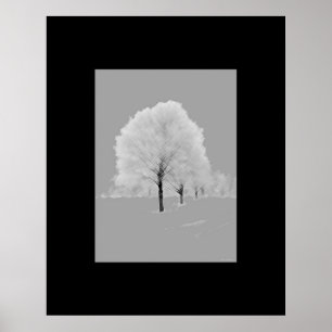 Trees - matted, black & white wall art