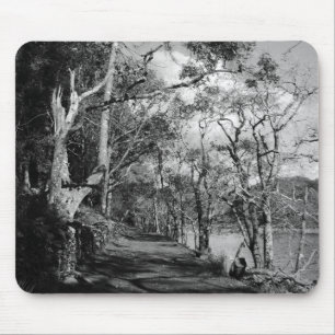 TREES MOUSE MAT