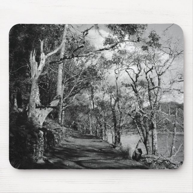 TREES MOUSE MAT (Front)