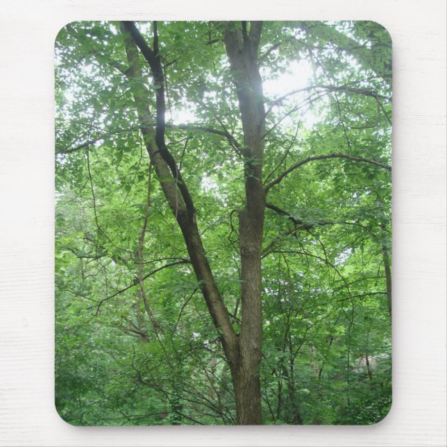 Trees Mouse Mat (Front)