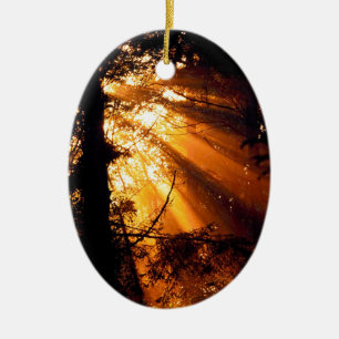 Trees Mystic Sunbeams Olympic Ceramic Tree Decoration