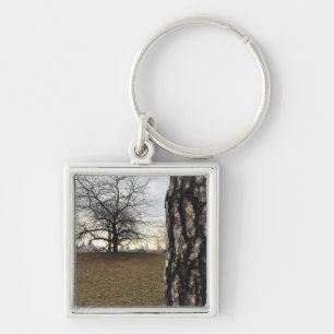 Trees New York NYC Sunrise Central Park Skyline Key Ring