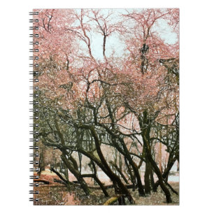 TREES NOTEBOOK