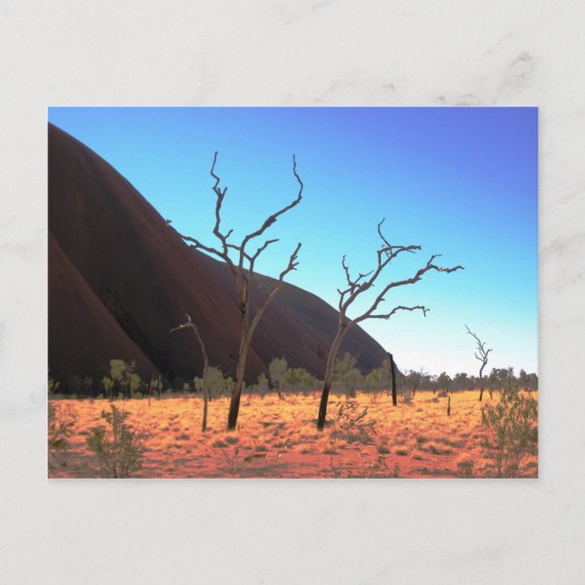 Trees of Ayers Rock Postcard (Front)