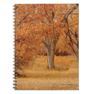 Trees of gold notebook