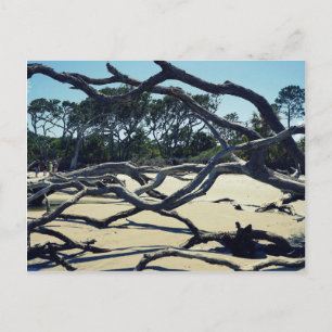 Trees on Jekyll Postcard