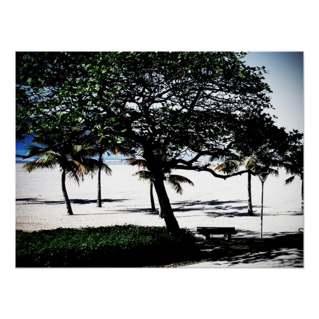 Trees on the Beach, Santos, Brazil Poster (Front)
