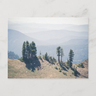 Trees Overlooking Lassen Postcard
