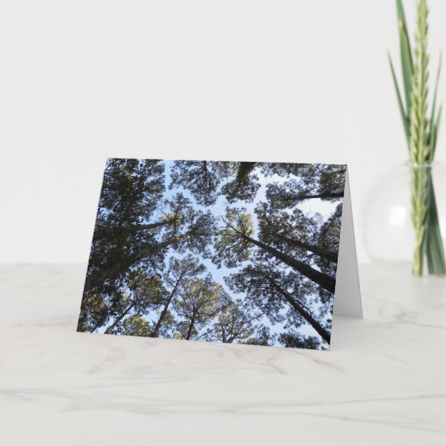 Trees perspective birthday card (h) (Front)