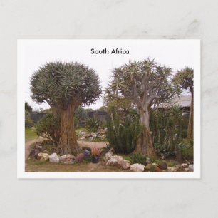 Trees Postcard