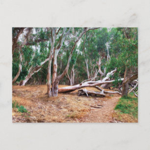 Trees Postcard