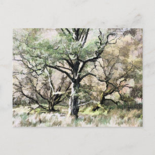 TREES POSTCARD